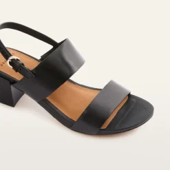 Camden Black