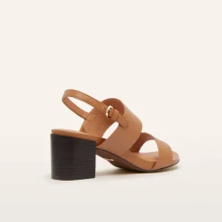 Camden Tan