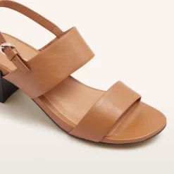 Camden Tan