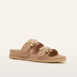 Deon Camel Stud