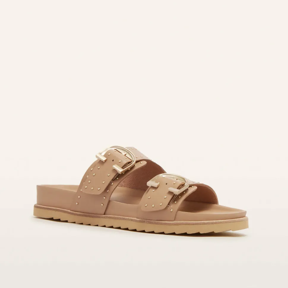 Deon Camel Stud
