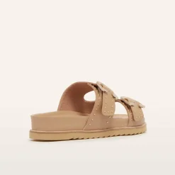 Deon Camel Stud