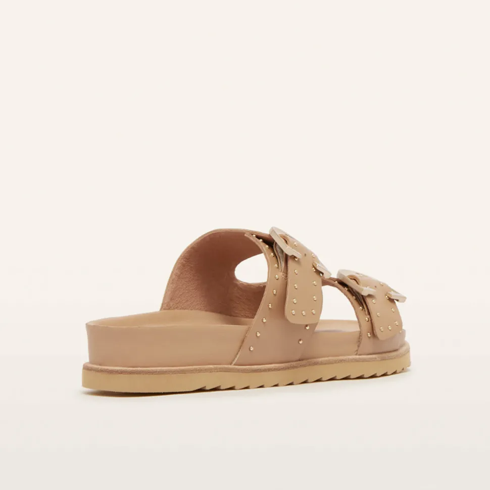 Deon Camel Stud