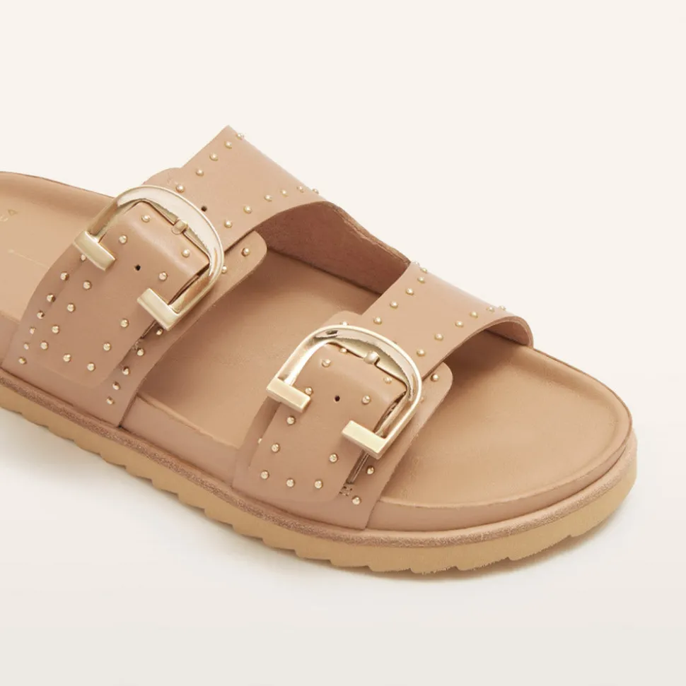 Deon Camel Stud