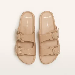 Deon Camel Stud