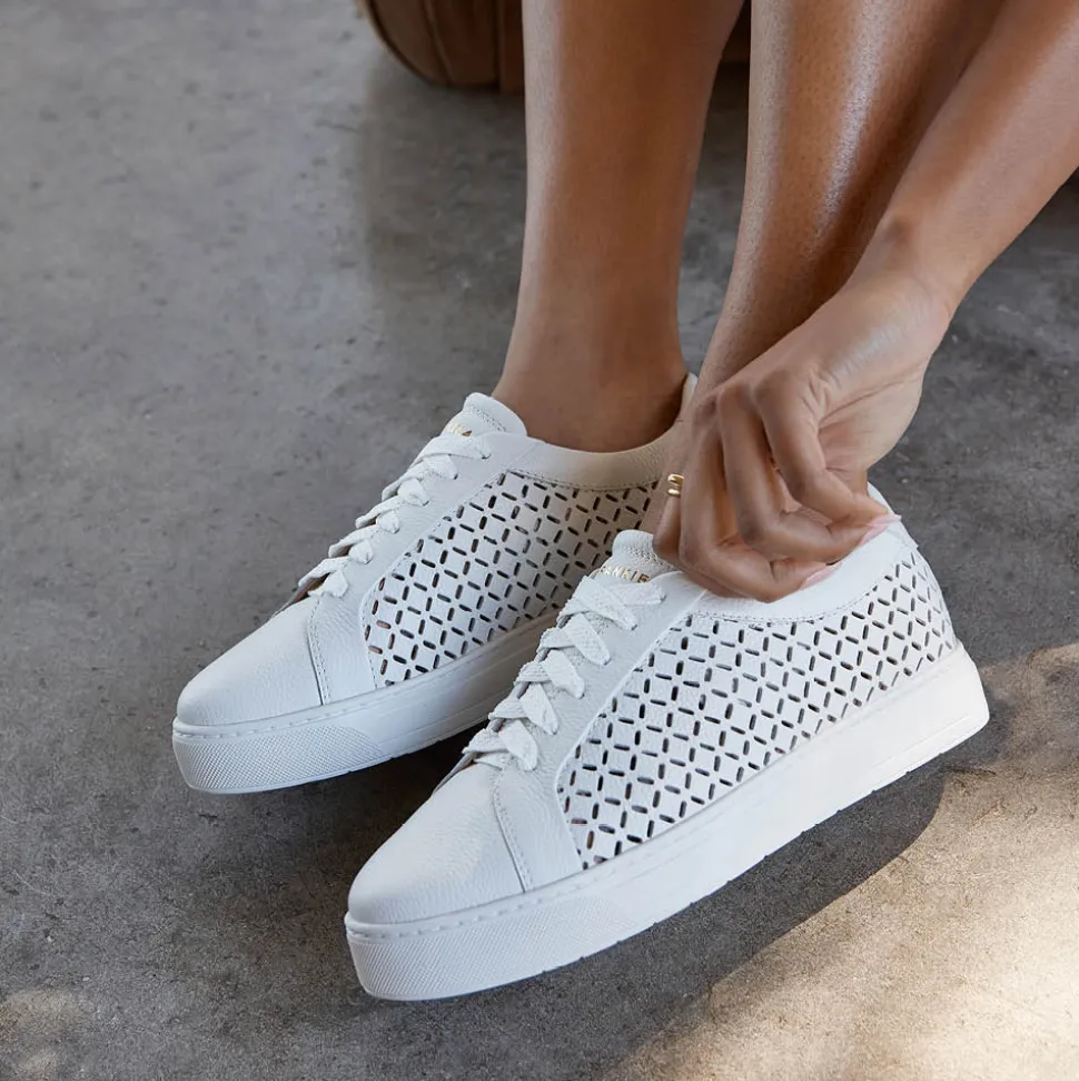 Mim V White Lattice