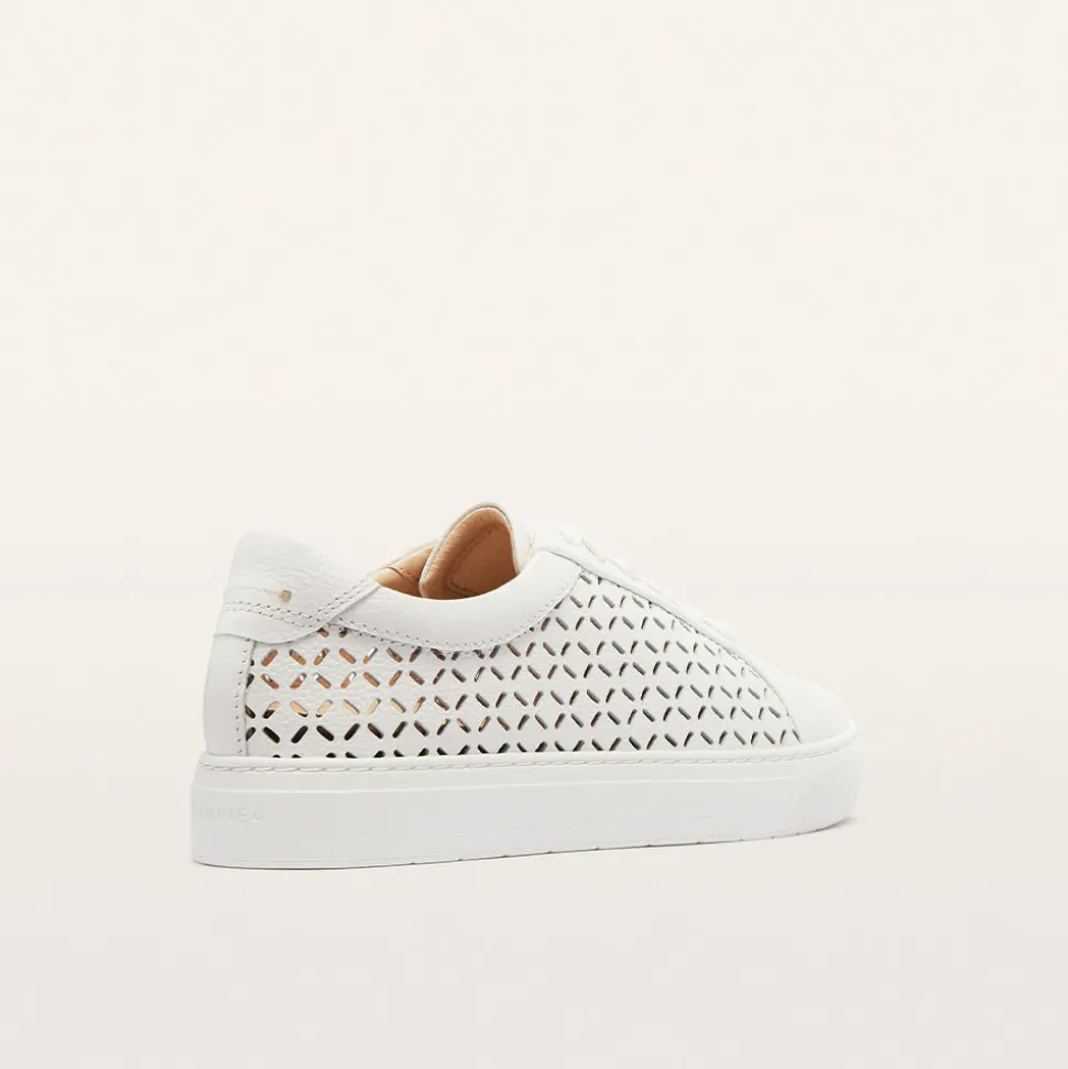 Mim V White Lattice