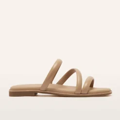 Remy Camel