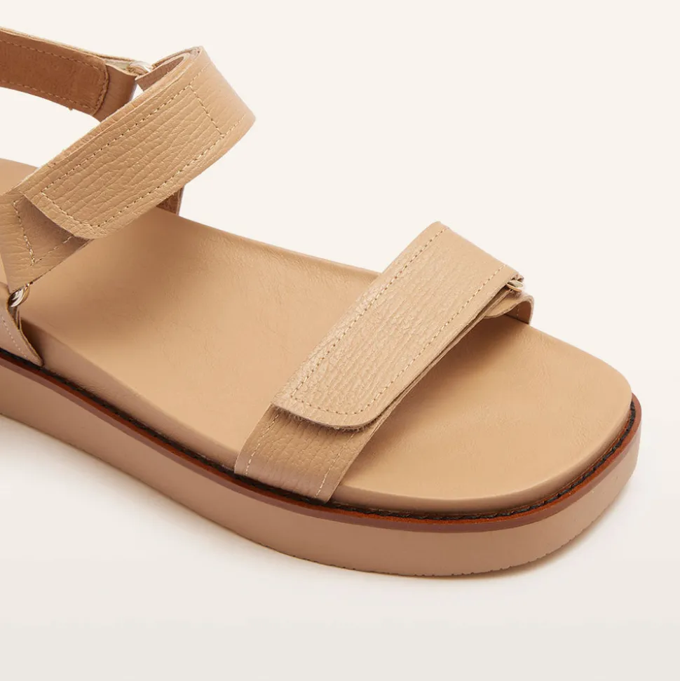 Zane Camel Grain